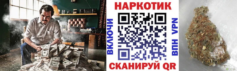 A PVP Бородино