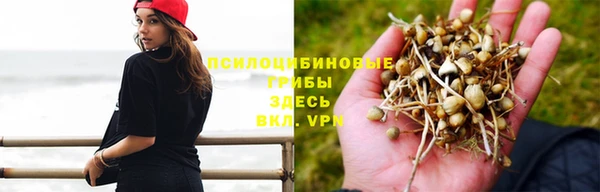 дживик Аркадак